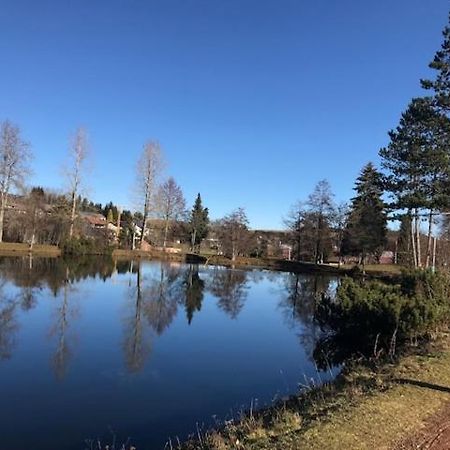 Schöne Ferienwohnung im Südschwarzwald Herrischried Exterior foto