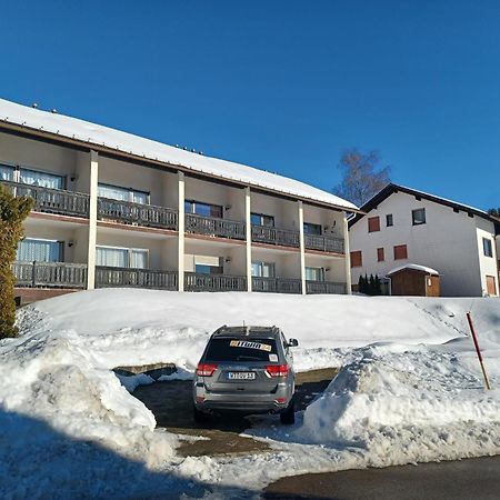 Schöne Ferienwohnung im Südschwarzwald Herrischried Exterior foto